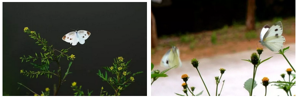 `DEYS`(F`Z}NIL`8JLZB@_H.png `DEYS`(F`Z}NIL`8JLZB@_H.png