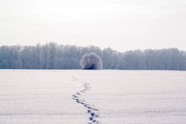 心里酸溜溜 如何生欢喜1.jpg 心里酸溜溜 如何生欢喜1.jpg