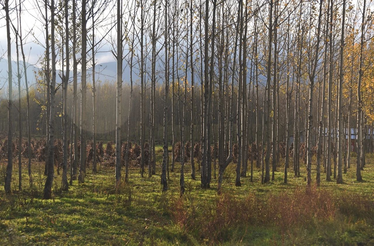 微信图片_20181017232112.jpg 微信图片_20181017232112.jpg