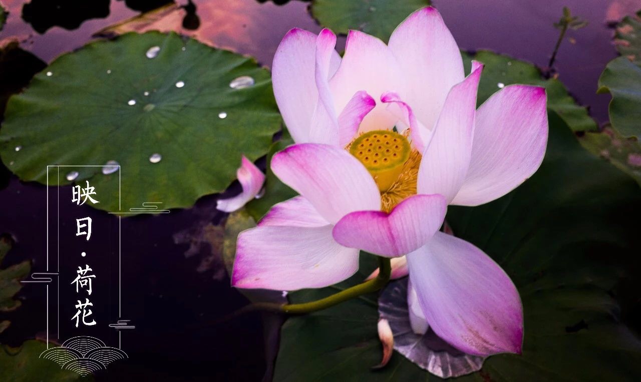 微信图片_20181018214847.jpg 微信图片_20181018214847.jpg