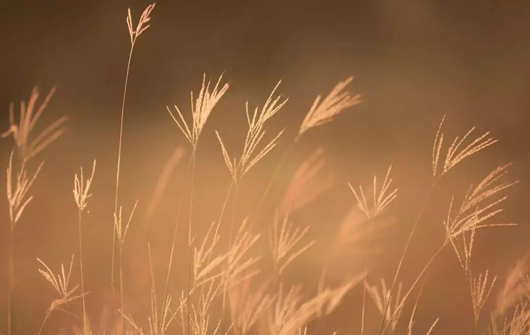 微信图片_20181026071802.jpg 微信图片_20181026071802.jpg