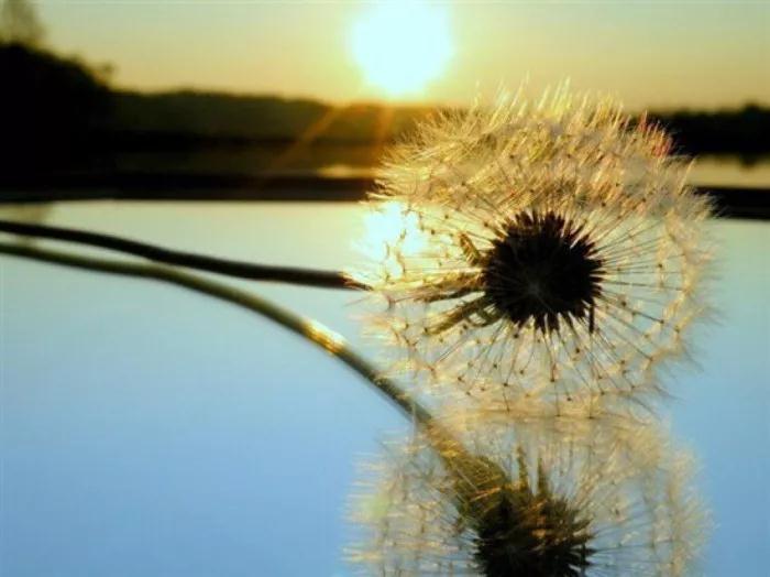 微信图片_20181018224335.jpg 微信图片_20181018224335.jpg