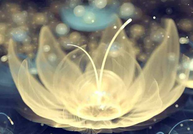 191934.jpg 191934.jpg