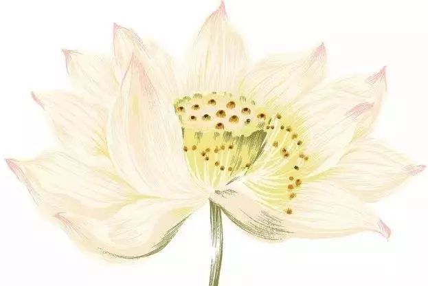 191941.jpg 191941.jpg