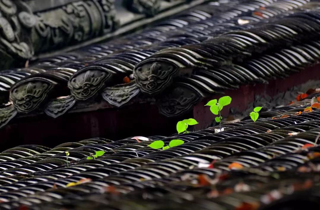 微信图片_20190423212312.jpg 微信图片_20190423212312.jpg