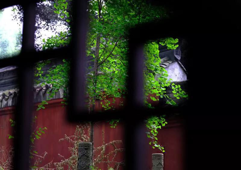 微信图片_20190423212258.jpg 微信图片_20190423212258.jpg