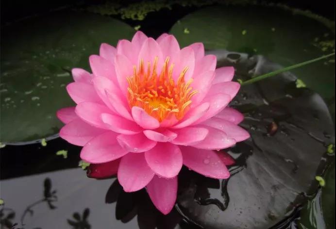 微信图片_20190423213849.jpg 微信图片_20190423213849.jpg