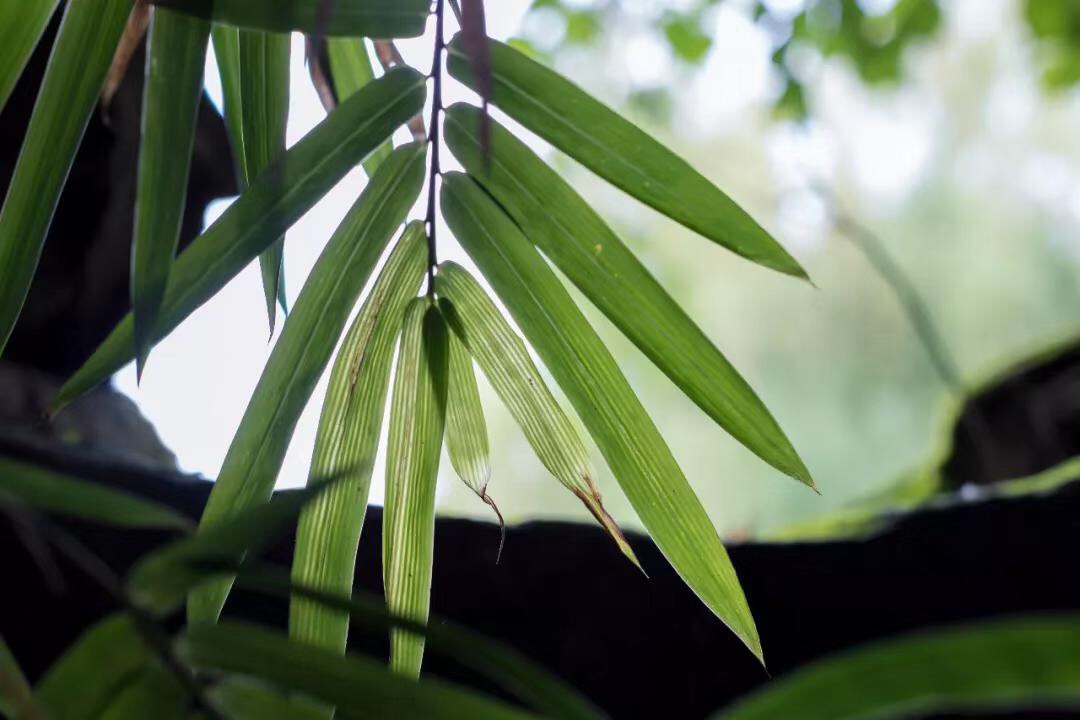 微信图片_20190712212444.jpg 微信图片_20190712212444.jpg