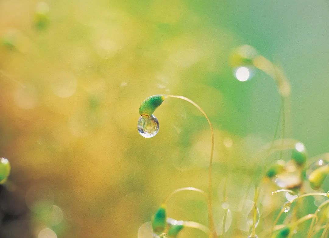 微信图片_20200519232816.jpg 微信图片_20200519232816.jpg