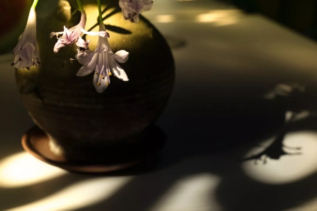 640.webp (63).jpg 640.webp (63).jpg